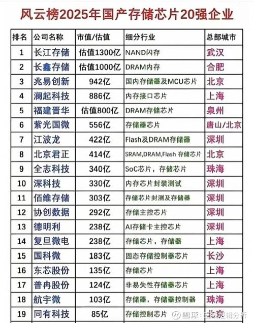 国产存储器厂商排名