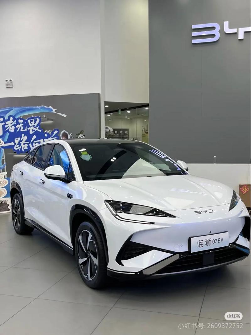 比亚迪海狮07ev行车记录仪就存4天