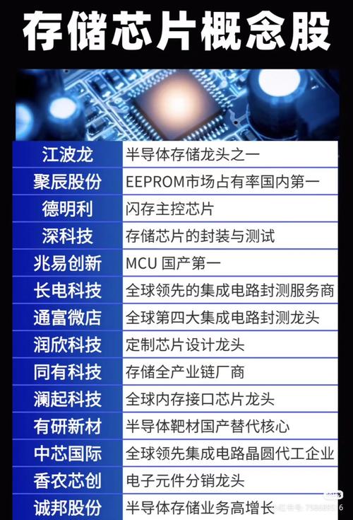 中国前十存储芯片排名