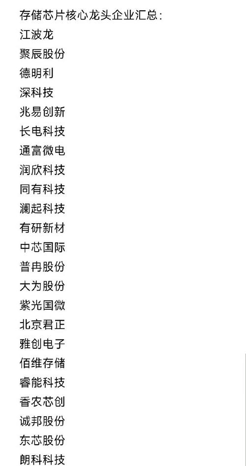 国内高端存储芯片龙头企业