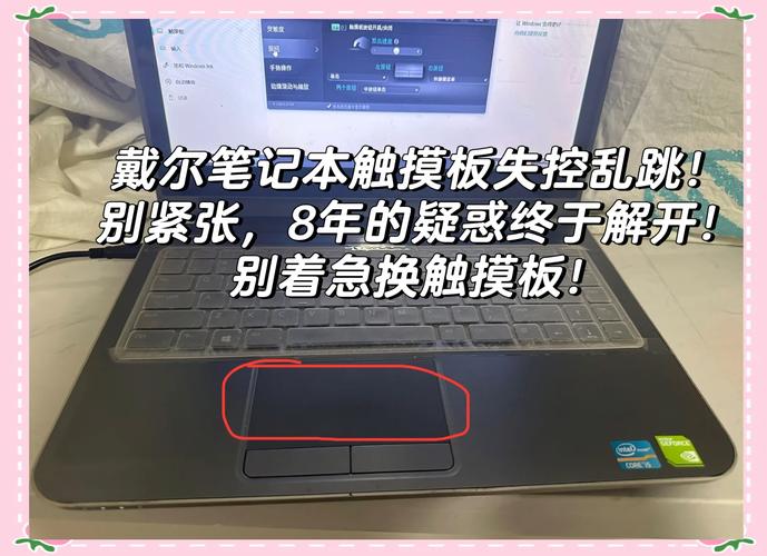 戴尔电脑触控板没有反应怎么办