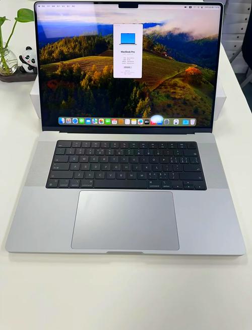 macbookpro201916寸配置cpuⅰ9『9』880h怎么样