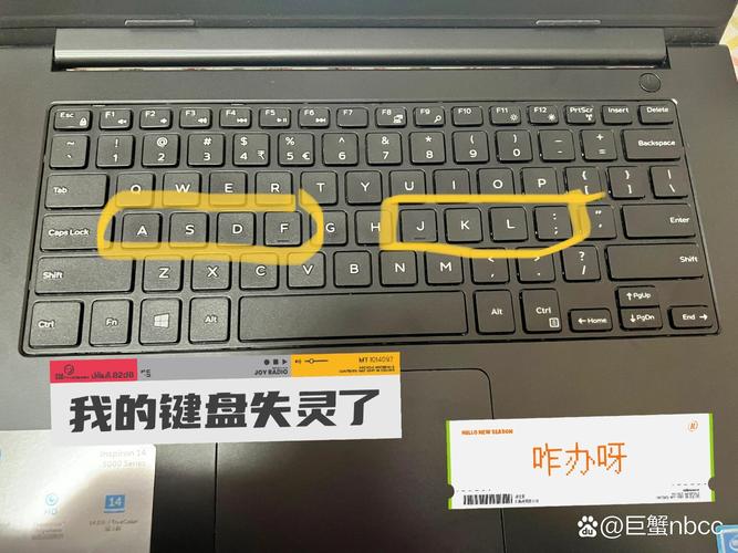 笔记本键盘突然全部失灵似乎断电了