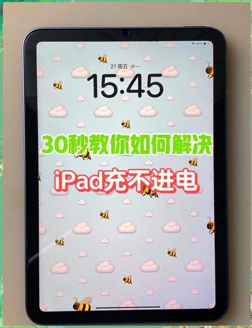 我的苹果平板一个晚上都冲不上电,然后我换了好几个充电线都不行,有...