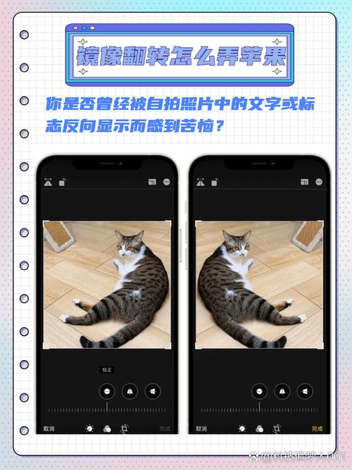 iphone屏幕镜像无法投屏一直转圈怎么处理?