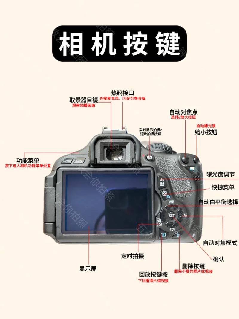 佳能600d屏幕取景模式怎么设置?