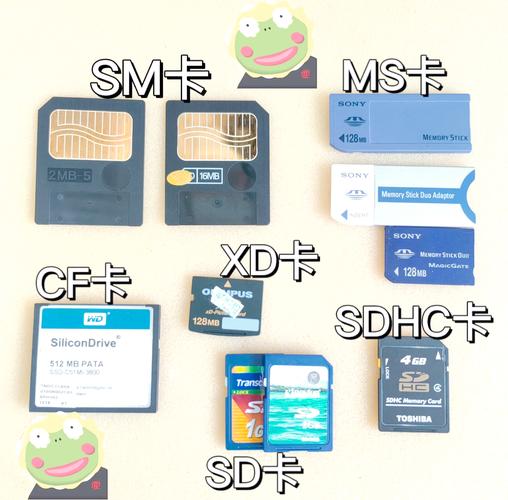 佳能ixus220hs内存卡在哪