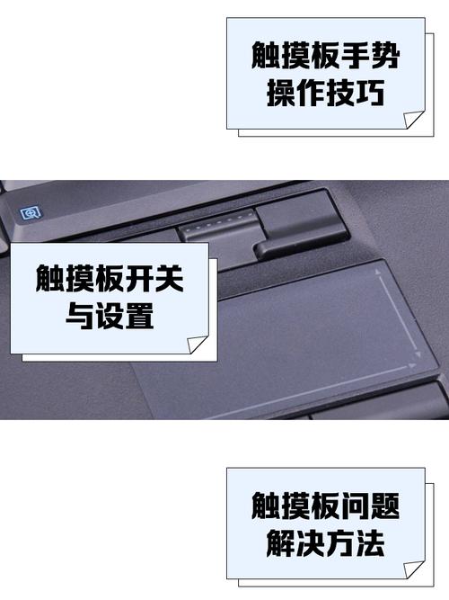 笔记本触摸板滑动鼠标不动如何解决?
