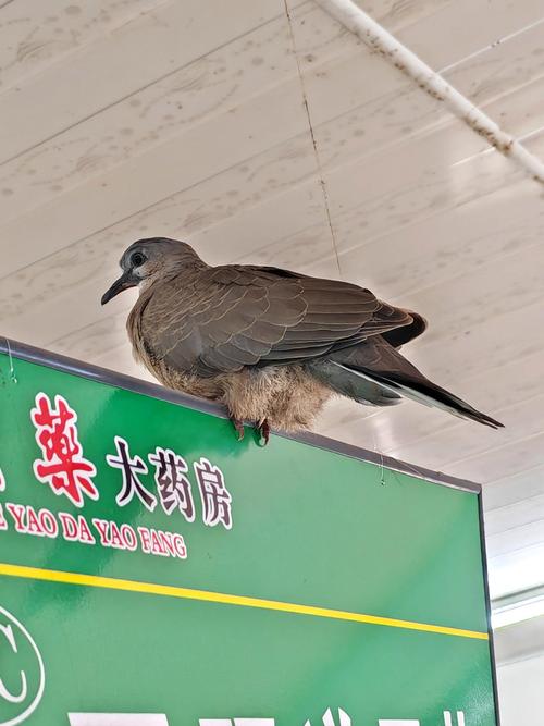 玩个黑魂我显卡驱动总无限崩怎么办