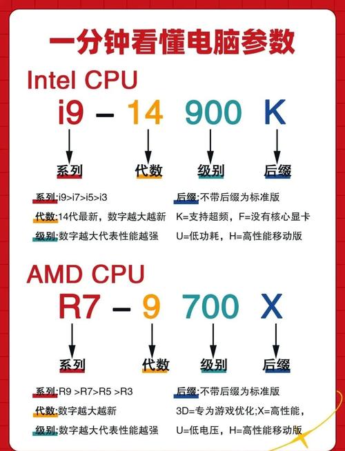 笔记本电脑的处理器和显卡区别是什么