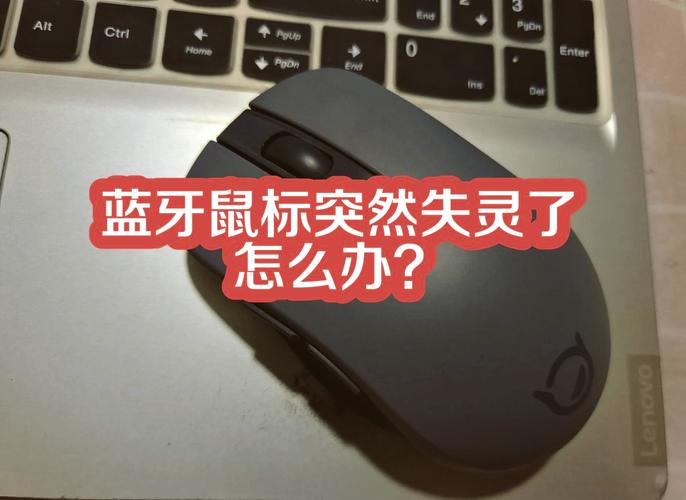 笔记本电脑上USB借口突然就失灵了。就是鼠标不能用。