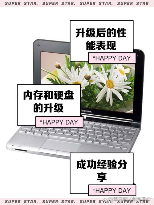 我的东芝笔记本,12年买的了,老机子了,详细参数如图片,我想自己进行硬件...