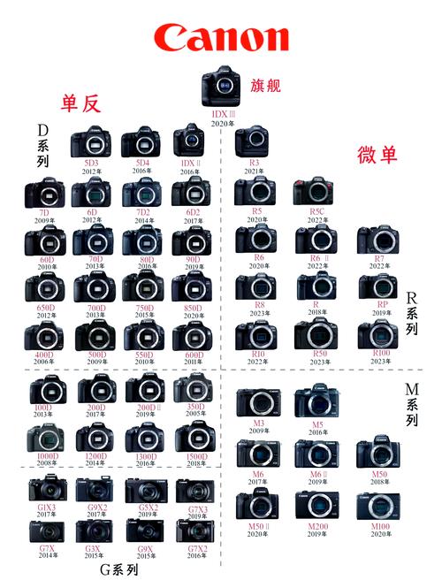 佳能单反入门选什么好