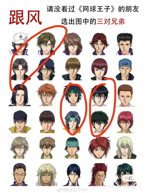 动漫版网球王子中所有人物名单.(全部)