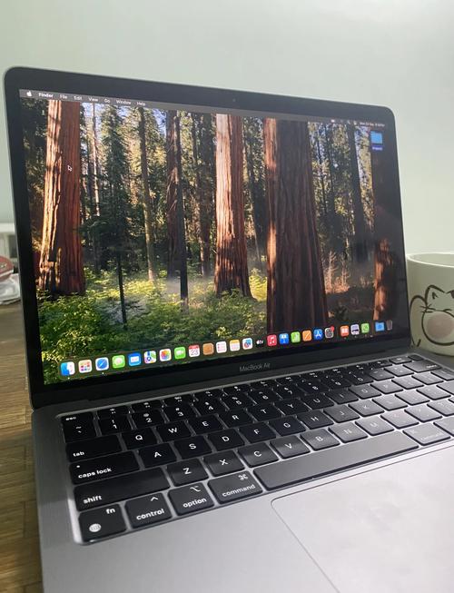 苹果电脑真的太难用了(苹果笔记本电脑的优缺点)