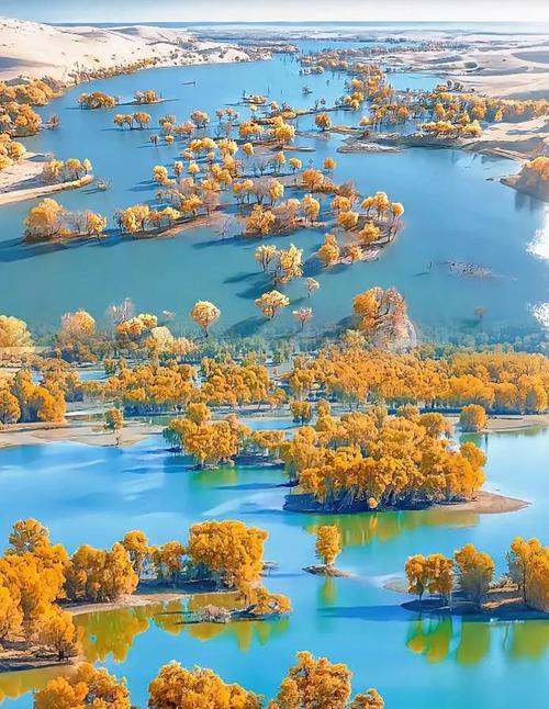 昌吉的二手电脑市场在哪