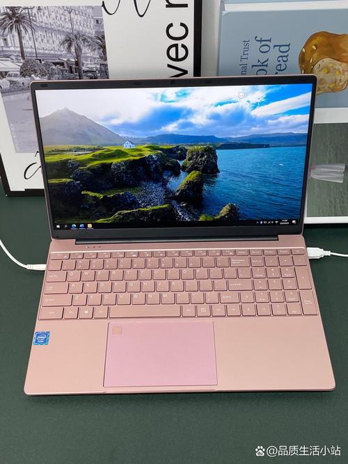 粉红色的电脑有哪些