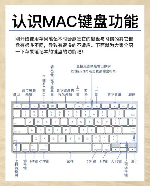 手提电脑键盘怎么解锁全键盘