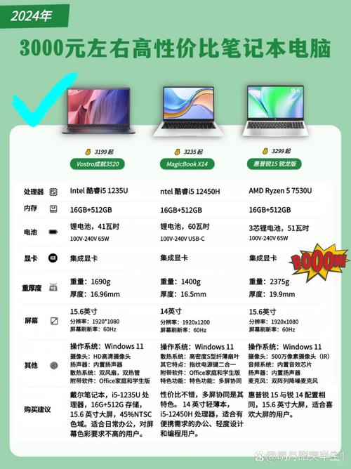 帮姐姐买个笔记本,费用3000左右。具体要求内详。