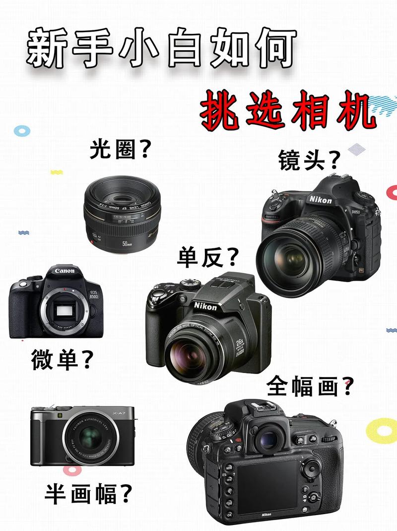 想买数码相机和笔记本电脑,请大家多多指点~