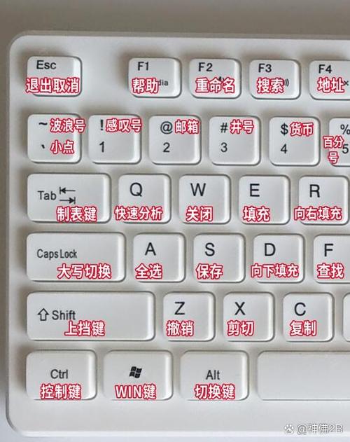 粘滞键导致键盘失灵维修多少钱