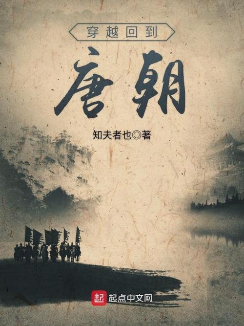 穿越唐朝叫小太保的小说