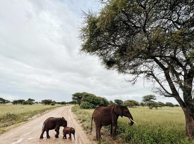 华硕标志的含义?