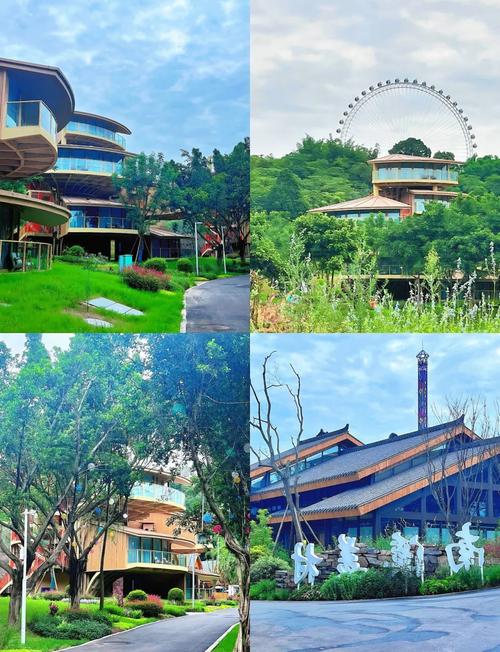 宜宾有哪些适合结识女性朋友的社交场所?