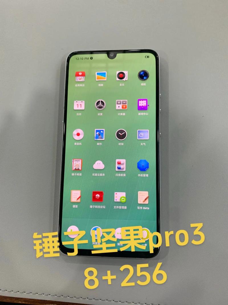 坚果Pro3致命缺点:性价比不高