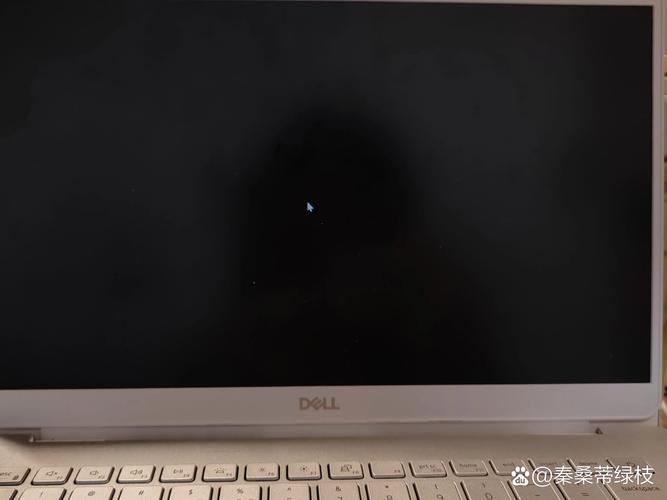 笔记本电脑开机后黑屏但是可以听到主机的声音