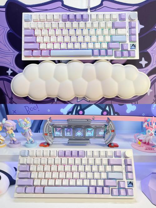 神舟笔记本电脑广告里那个女的是谁、叫什么