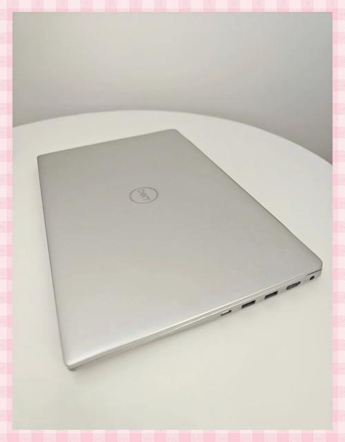 戴尔p1310显卡参数