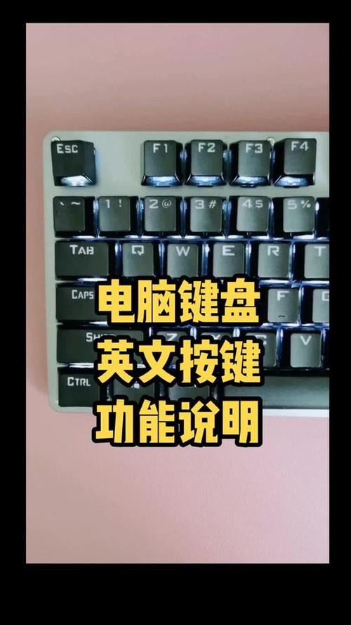 电脑键盘按哪个英文键可以静音了