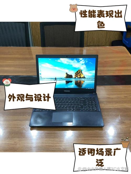 在世界上,有点名气的笔记本电脑有多少种,它们的排名大概是咋样的?能否...