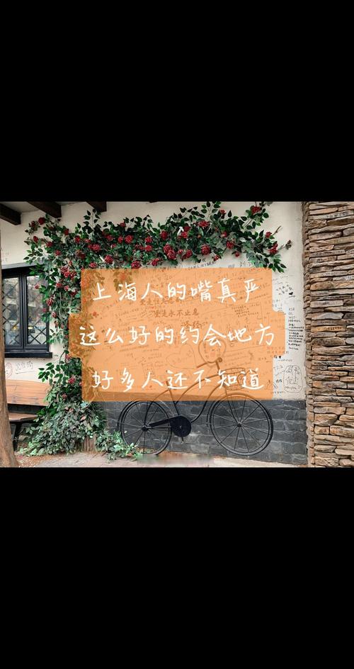 小资、小资情调是什么意思?