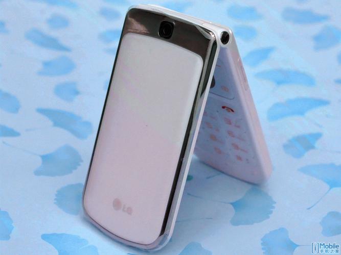 LGGD310手机我设置的是外部存储,但是发图片什么和收彩信还是说内存已满...