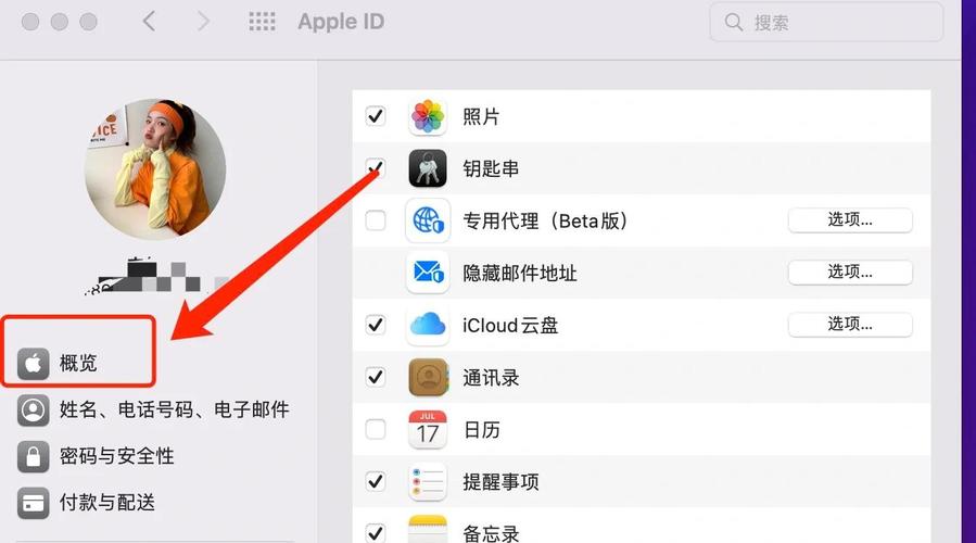 苹果笔记本怎么退出id账号
