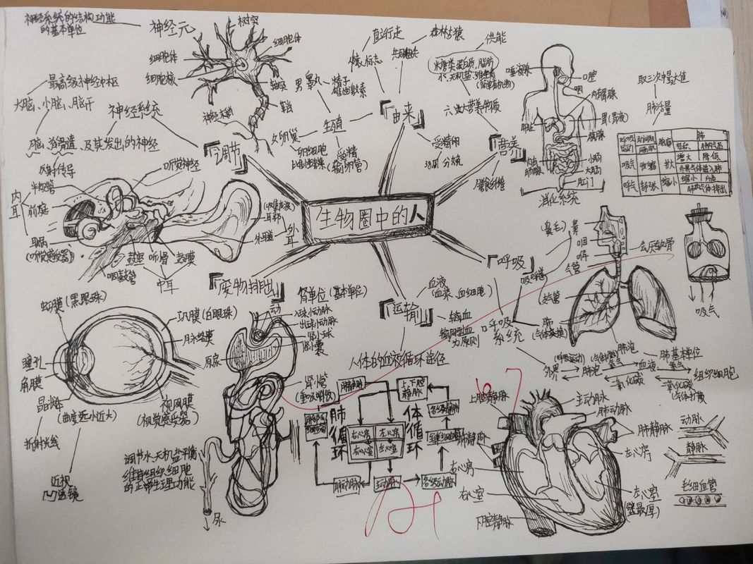 青岛科技大学留校条件