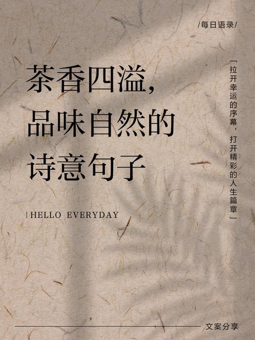 茶室需要哪些插座