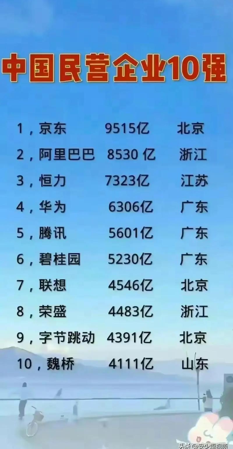 中国民营企业20强都有哪些