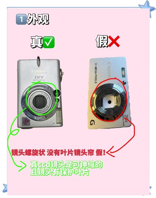 内存卡在数码相机上什么位置?