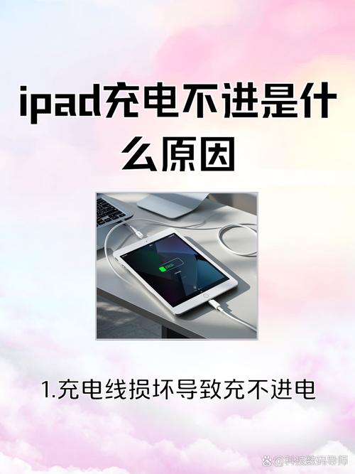苹果平板充不进去电怎么办