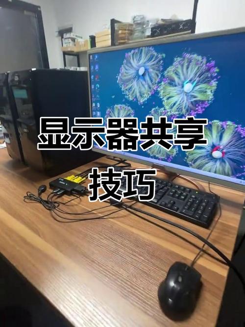 一台电脑主机怎样接两个显示器
