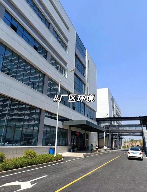 广州黄埔的保税区都有哪些电子厂啊?