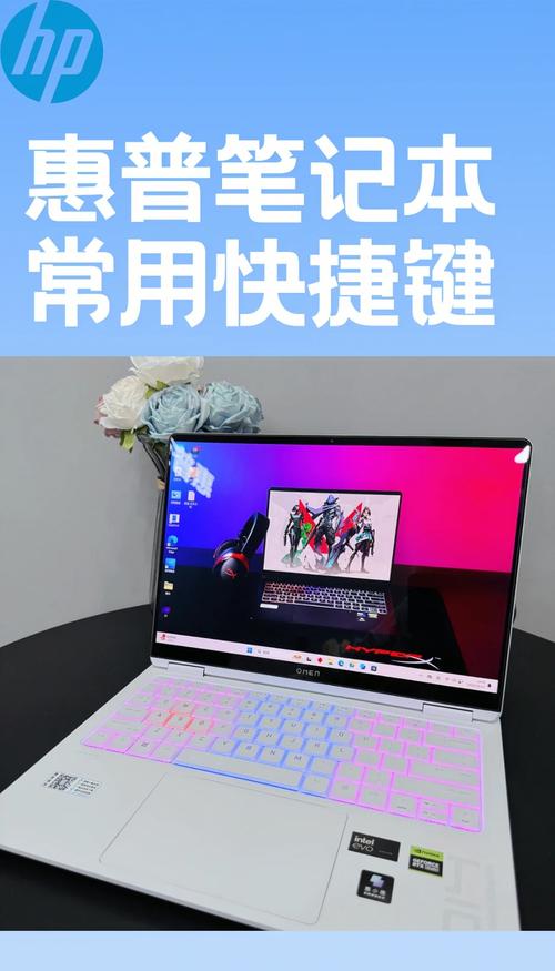 谁给我一份笔记本的键盘快捷键,那些键跟那些键用,要十分详细,还要难度...