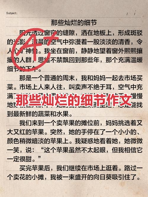 CATTI法语二笔经验贴