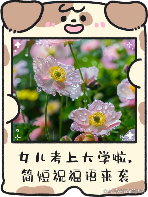 考上大学送什么合适是女孩