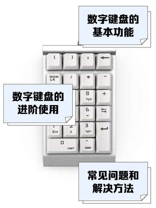 笔记本电脑怎样打开数字小键盘