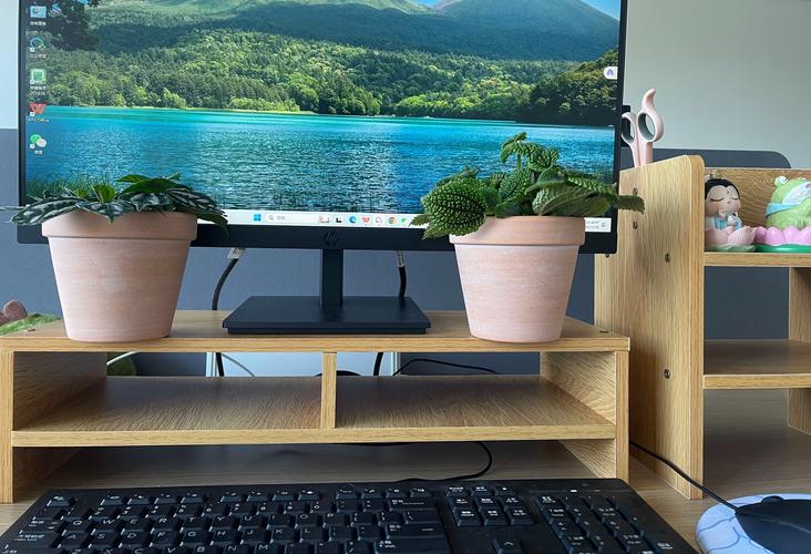 有没有专门放笔记本电脑的架子之类的