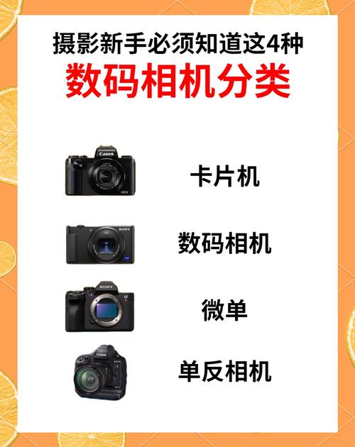 能说一下截至近来,你一共用过多少台相机用于摄影?